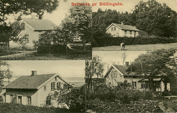 Enligt Bengt Lundins noteringar: "Syltenäs pr Stillingsön. 4-bild".