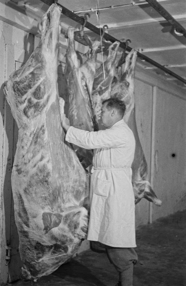 Slakteriarbeidere og distriktsveterinær Kurt Ragnvald Bakstad. Røine i arbeide ved slakteriet på Jernbanekaia.(1946-1959.) Flere bilder inne og ute.
Salgslag slakteri
