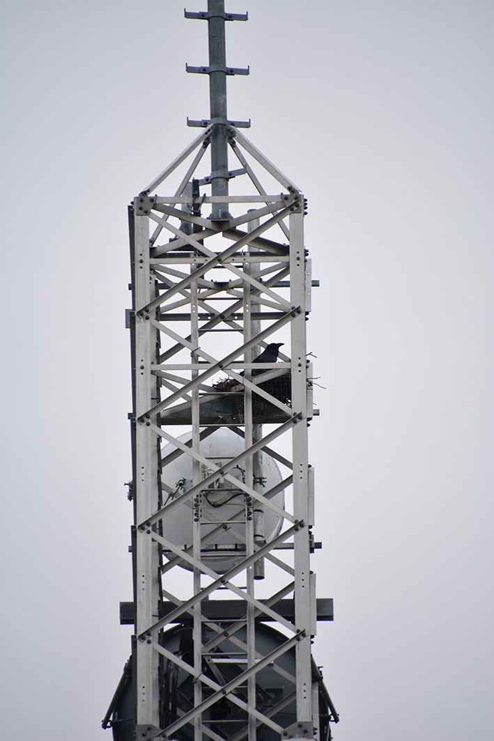 Kautokeino jernmast for radiolinjer. Masta representerer en type "Eiffeltårnmast", det vil si selvbærende uten bardunering, noe som forklarer at den kan stå midt i bebyggelsen i Kautokeino.