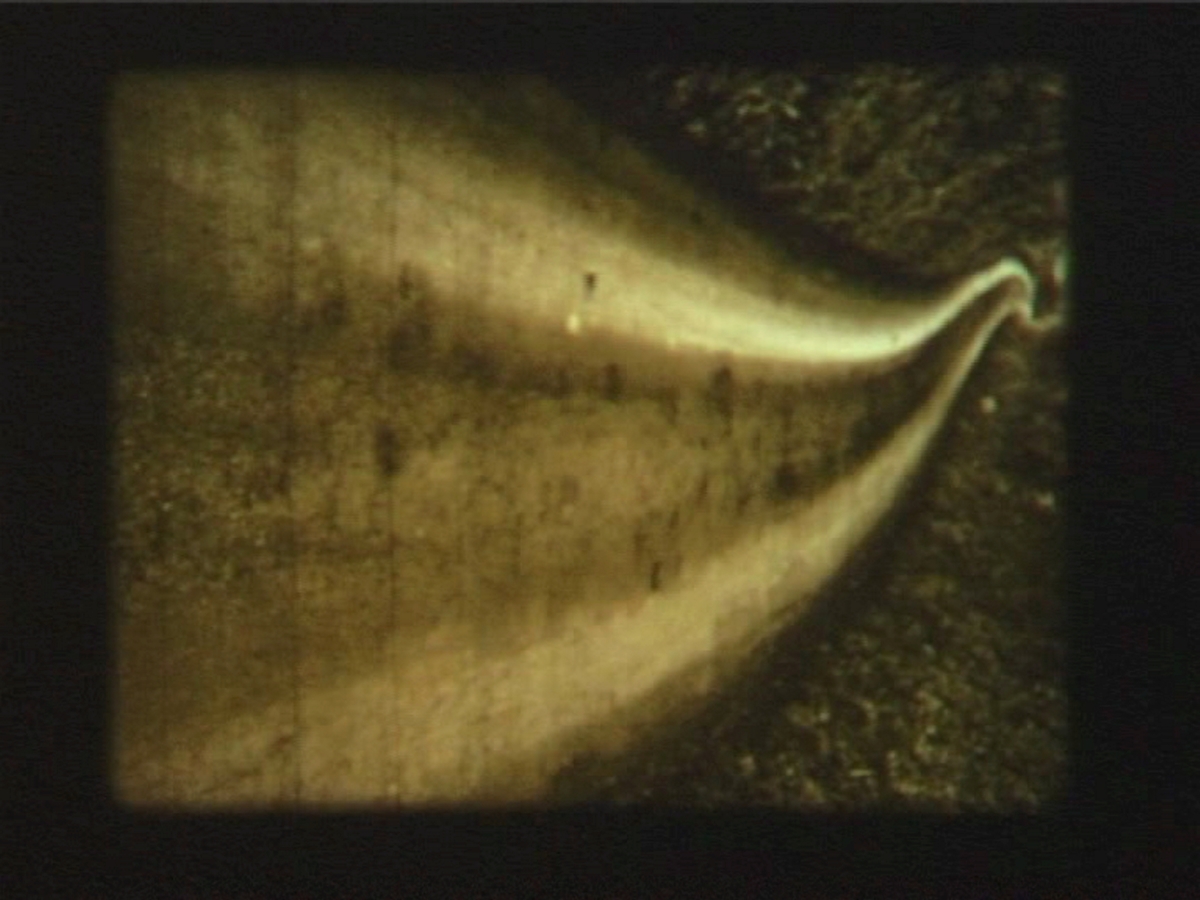 Down the Lane and Back Again [Film]