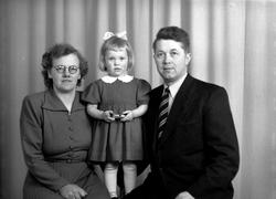 Gunvor Skjelvik, Ingjerd Skjelvik og Edv. Skjelvik
Fra Nordm