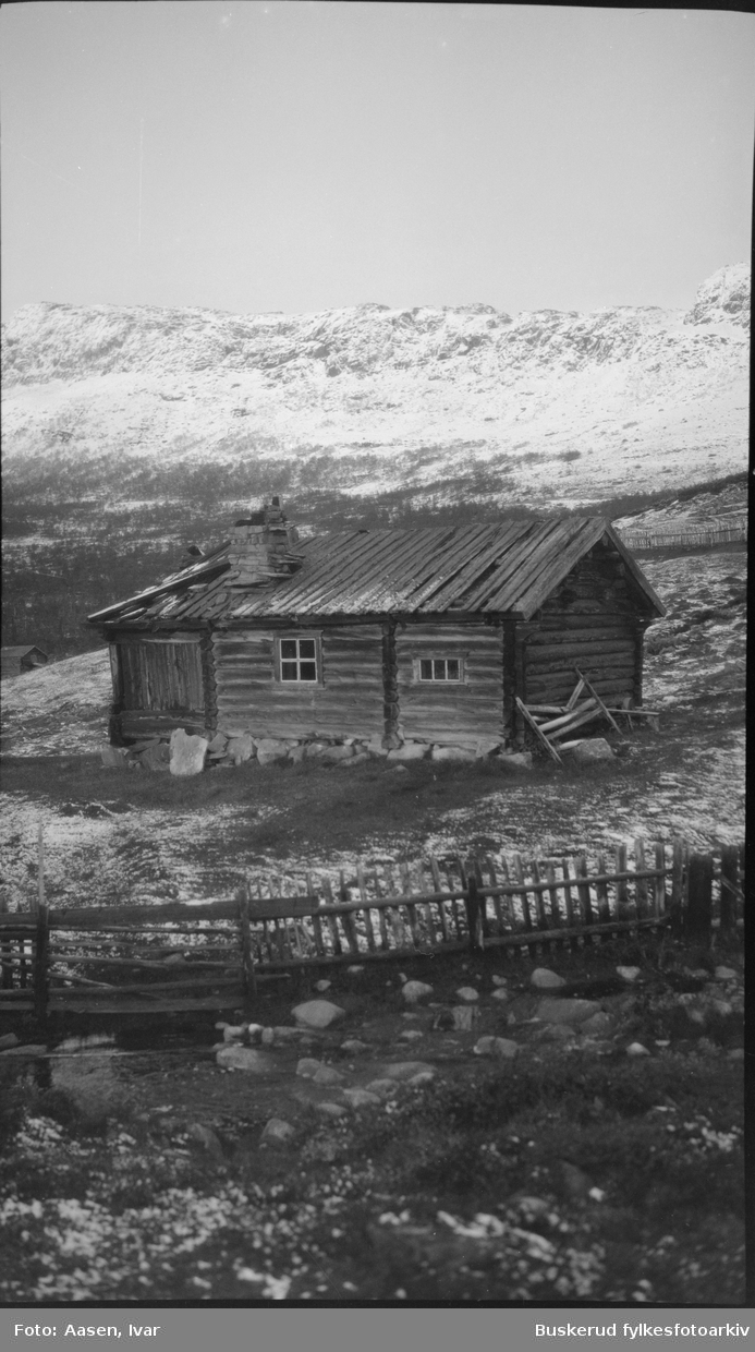 Tunhovd
Gammelt laftet hus ved Øygardsgrend, nedenfor Tunhovd-demingen