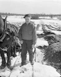 Norsk landbruks jubileumsutstilling 1959.  Vinterlandskap, m