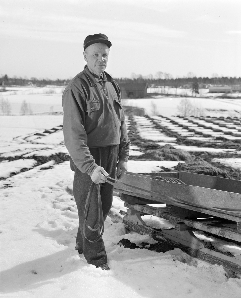 Norsk landbruks jubileumsutstilling 1959.  Gårdsarbeider på jordet, vinterlandskap.