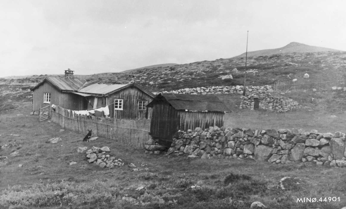 Setra i Tegningdalen 1963. 