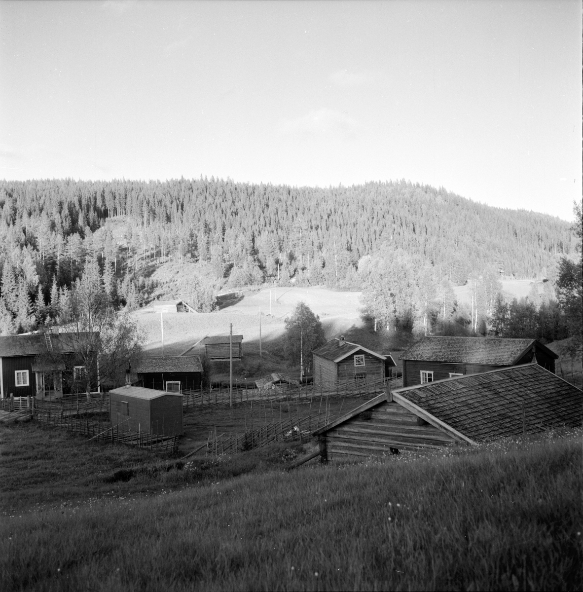 Alfta,
Per Svahn "buför" till Brattskuru,
8 Juni 1960
