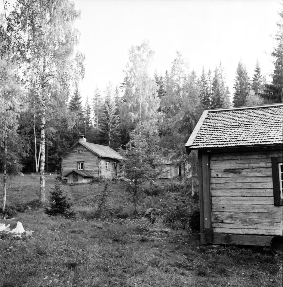 Arbrå,
Änga-Nybo,
Juni 1971