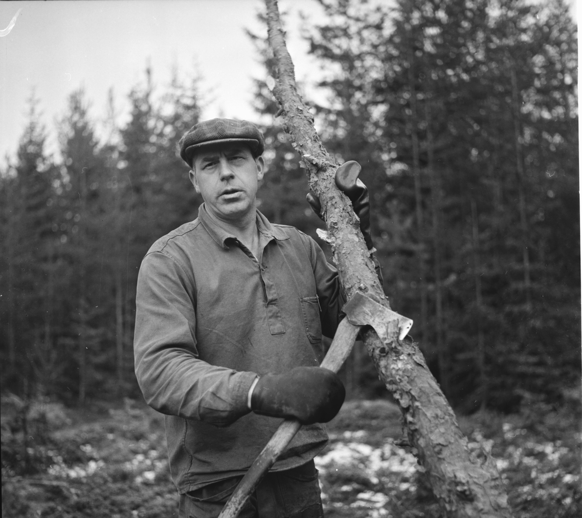 Söräng,
Erik Eriksson,
handikappad skogsarbetare,
20 nov 1966