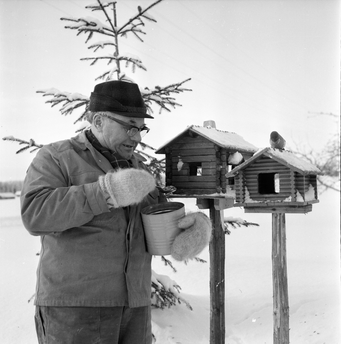 Rådjurshjälpen sjuk get. Växsjö
Einar Bungs Röste
7/2-1966