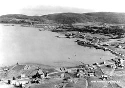 Postkort med motiv fra Vågen.