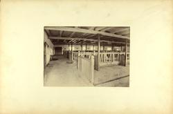 Fjøs på Bygdø Kongsgård