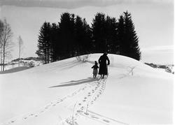 Karine og Sigrun Røisli med spark på et jorde/beite på gårde