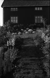 Tre bilder fra fotografens eiendom Odberg på Kraby, Østre To