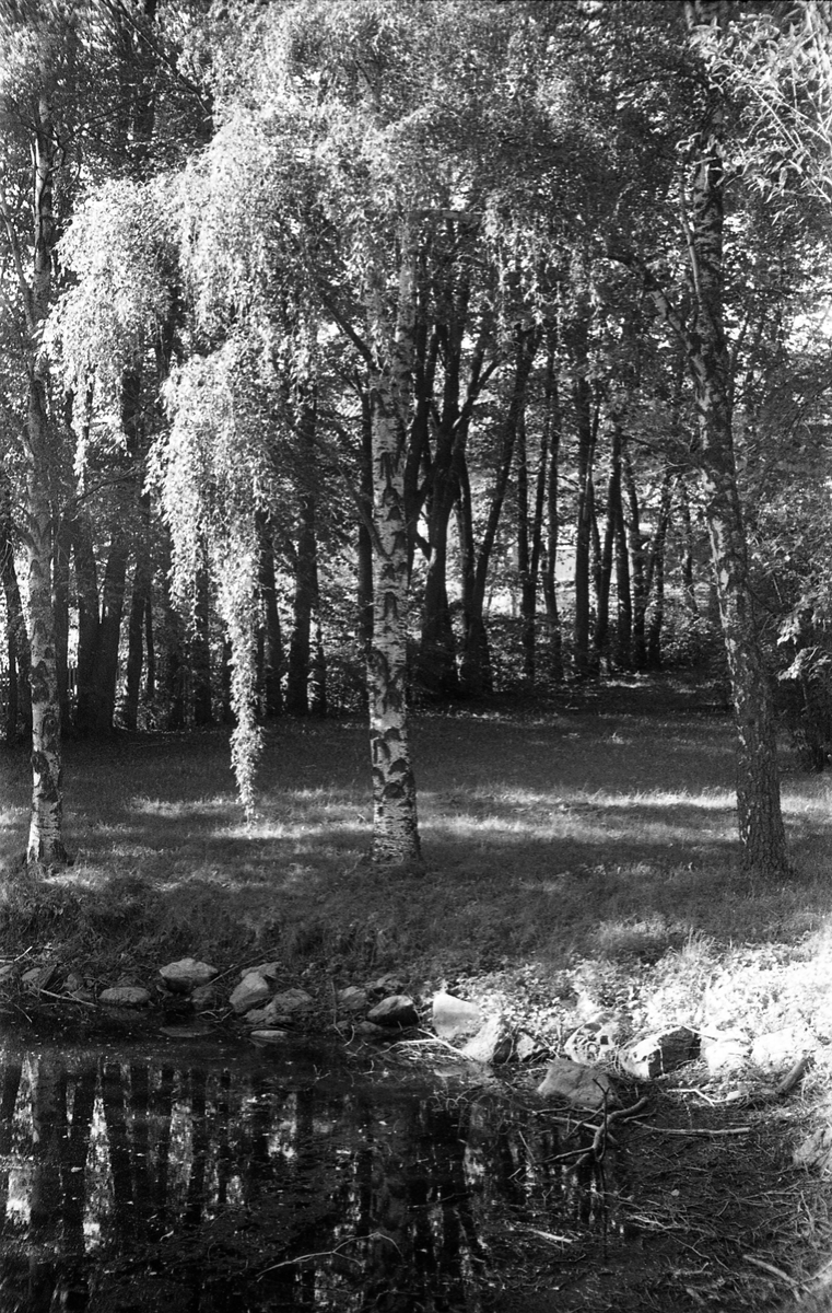 Fra gården Rogneby i Østre Toten. Serie på 10 bilder av bygninger og gårdstun.