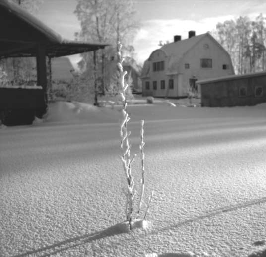 Vinterbild från Karlsborg, januari 1963. Endast neg finns.
