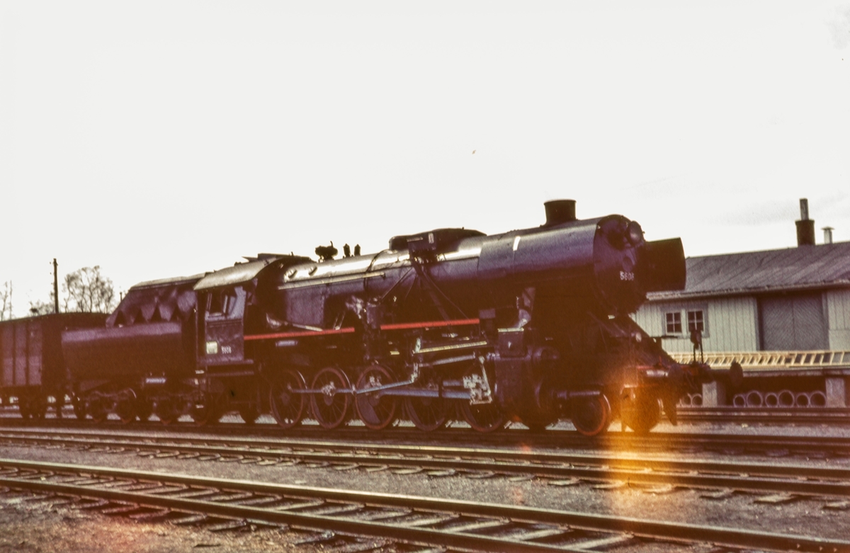 Damplokomotiv type 63a 5606 med godstog.