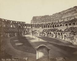 Int. Amfit. Flavio [Fotografi]