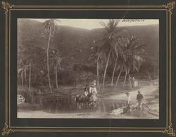 Crossing a River, Jamaica [Fotografi]