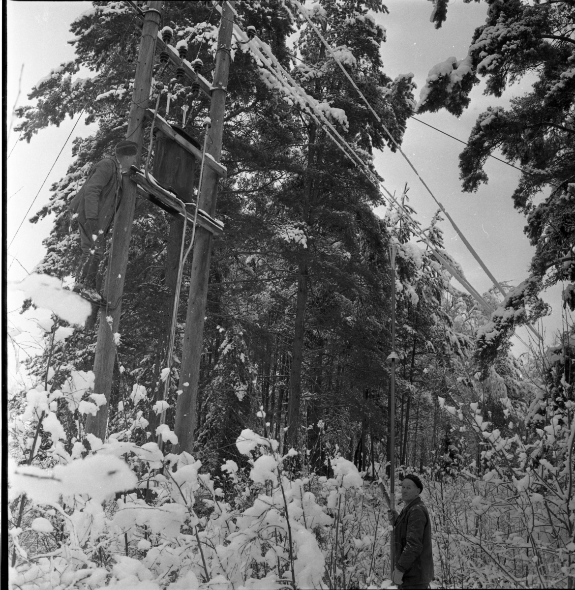 Linjemontörer vid Gränna elverk i arbete i samband med "elkaos" i Grännatrakten, november 1963. Carl Pragberg på stolpen och Filip Svensson nedanför.