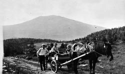 Hest og kjerre, kulturlandskap, personer, hest,