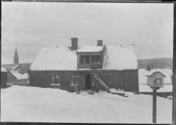 Vincent Buddesgt 7 b om vinteren på Hollenderberget med Moss