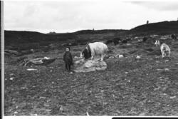 Portrett,
Margit Uhlen på Gravarstølen.
I bakgrunnnen Sølh