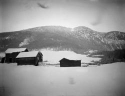 Garverhaugen, Ringebu.