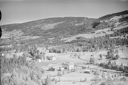 Åsletten skole (Solvang), Hunder, Øyer, 16.07.1959, dalføre,