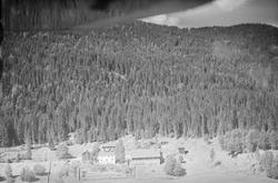 Ukjent gård i li ved vei og skog, Øyer, kjøkkenhage, stabbur