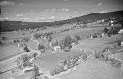 Musdal, Tretten, Øyer, 16.07.1959, kulturlandskap, spredte g