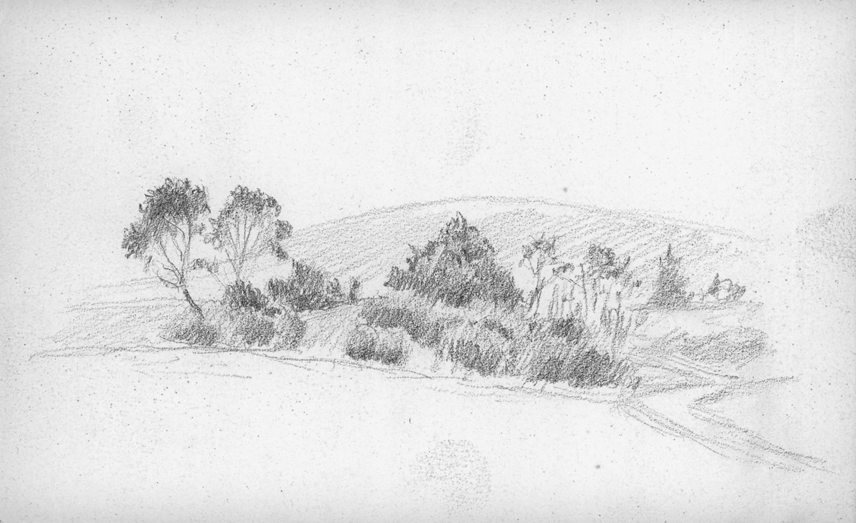 landskap naturskildringer