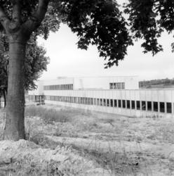 Stormbull. Esteriør. September 1959