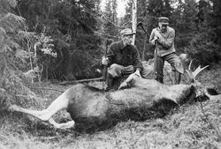 Elgjegere med felt bytte. Til venstre Johan Grindflek(aktiv 
