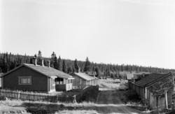 Nysetra, nordre, setermeieri, Philske sameie, seterbruk på H