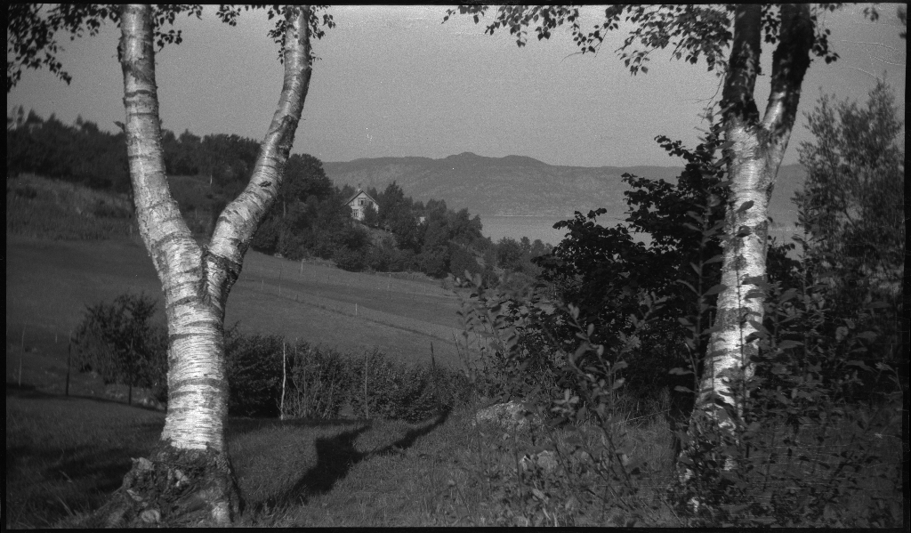 Tur på Halsnøy og Randøy med Lindtner, Arne Johannessen og en gutt til. Det er bilder av bygdene og landskapet, kyr, høns og guttene som går på småveier og sitter i en liten robåt.
