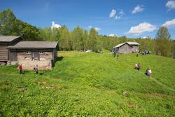 Skoleelever på Oppistun Børli, arrangement i regi av Kongsvi