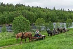 Fra "Fløttdagen" på Dølmotunet 2016, Tolga, Hedmark. Musea i