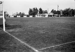 ."Molde FK, MFK, Molde fotballklubb"