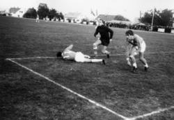 ."Molde FK, MFK, Molde fotballklubb"