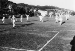 ."Molde FK, MFK, Molde fotballklubb"