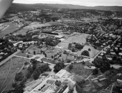 Universitetet: Blindern. Flyfoto. August 1961