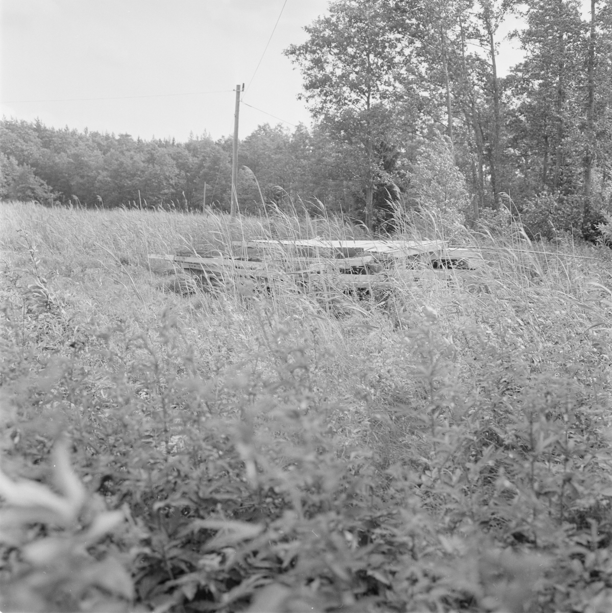 Djupöbadet i Karlholm, Västlands socken, Uppland, juni 1979
