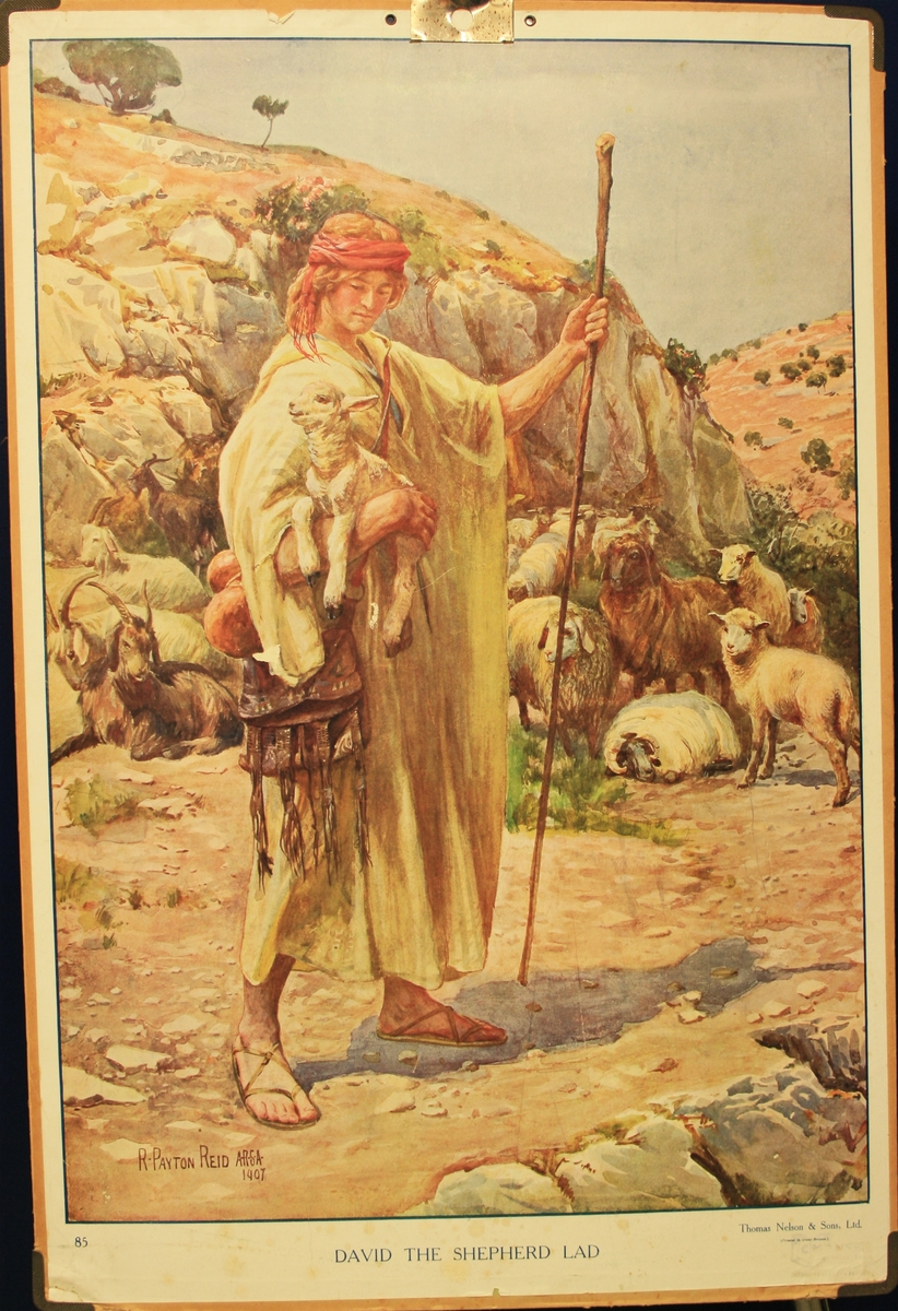 David bergar eit lam.