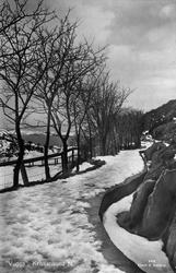 Kristiansund N: Spaserveier i Vugga, langs Vardefjellet - Kr