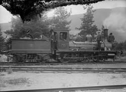 Lokomotivfører E. Galaasen med lokomotiv nr 17