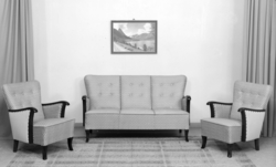 Salong. Sofa og lenestol.