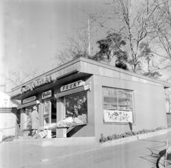 Valle Blomster og Frukt. November 1962