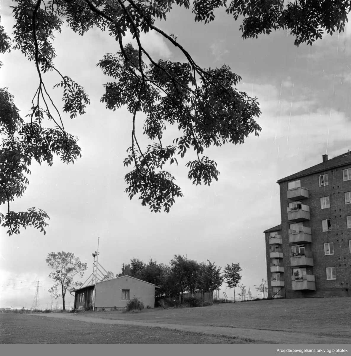 Valle- Hovin. Klubbhus for Vålerengaungdom er planlagt i Valle-Hovin feltet. August 1965