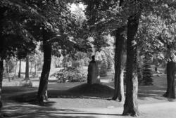 Vår Frelsers gravlund. Æreslunden. (Bjørnsons, Sverdrups og 