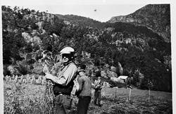 kornåker korn sigd menn